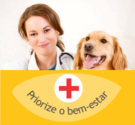 Consultas Veterinárias para Cães e Gatos realizadas em domicílio pela Clínica Veterinária PreVet Home