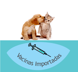 Vacinação de Cães e Gatos em Domicílio feito pela Clínica Veterinária PreVet Home