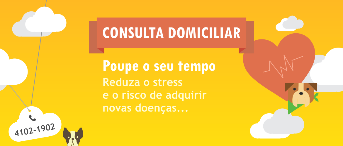 Consulta Veterinária em Domicílio. PreVet, a clínica veterinária em SP que vai até a sua casa