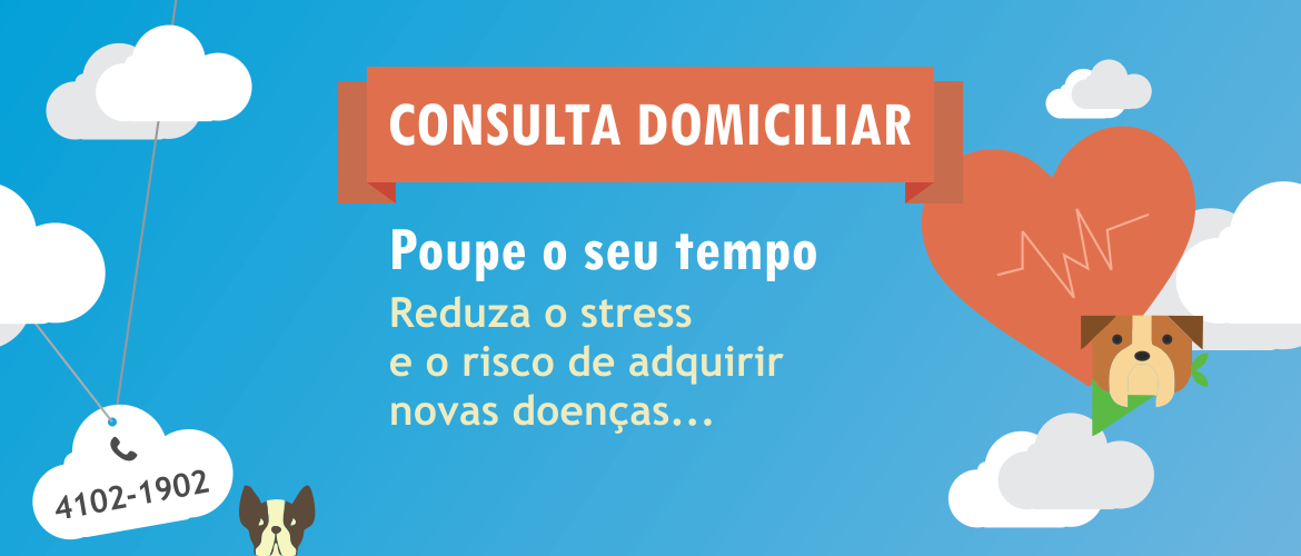 Consulta Veterinária em Domicílio. PreVet, a clínica veterinária em SP que vai até a sua casa