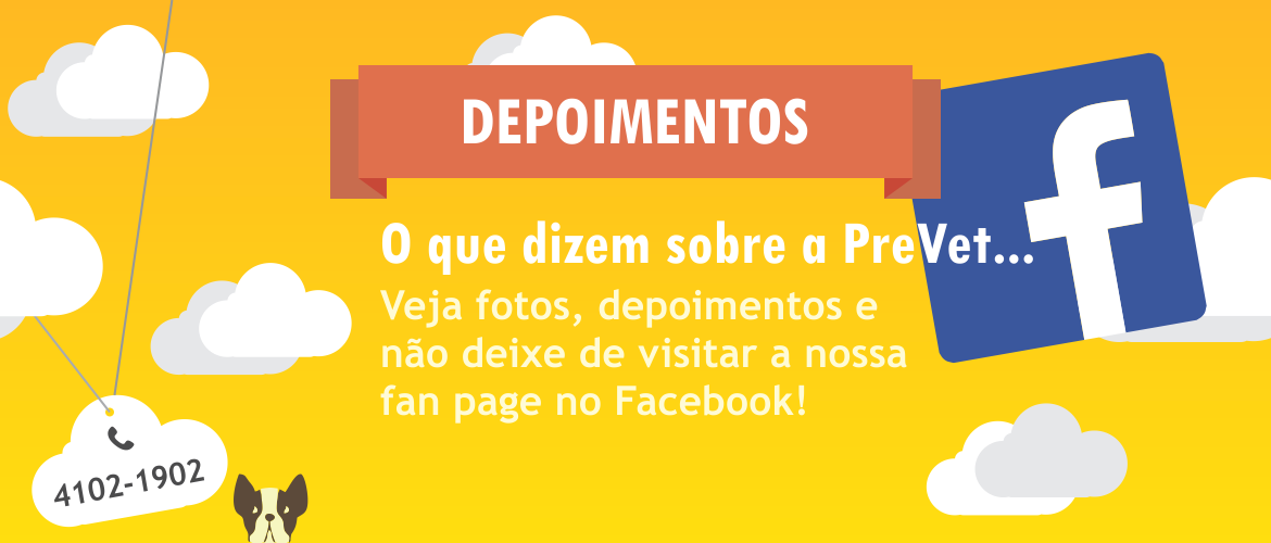 Fotos e depoimentos de clientes da Clínica Veterinária em São Paulo, PreVet Home