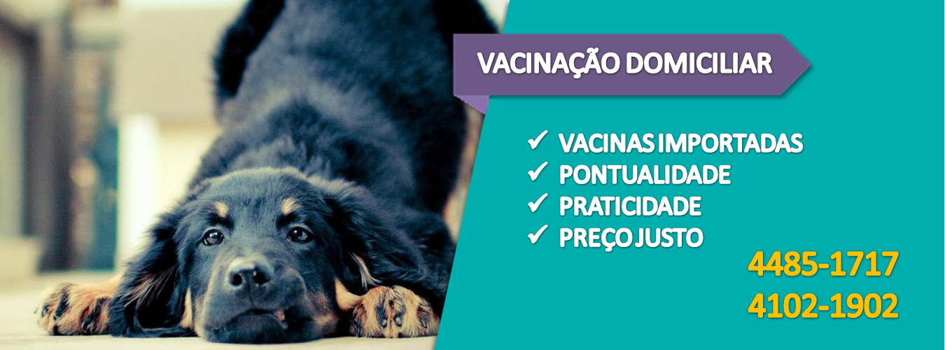 Vacinação Domiciliar de Cães e Gatos