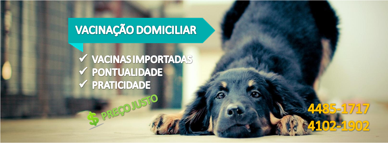 Slide - Vacinação Domiciliar