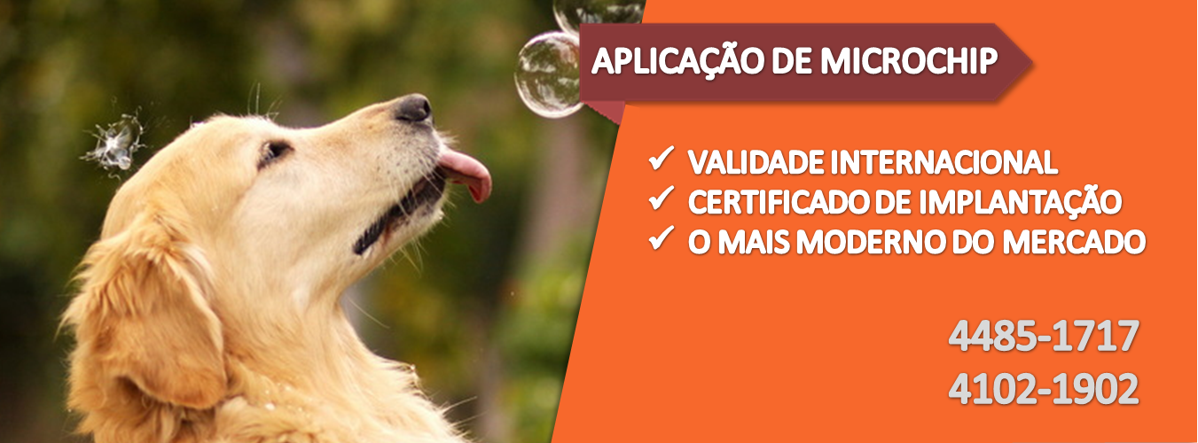Aplicação de Microchip para cães e Gatos