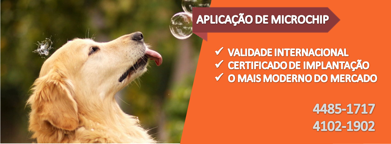 Slide - Aplicação de Microchip para Cães e Gatos