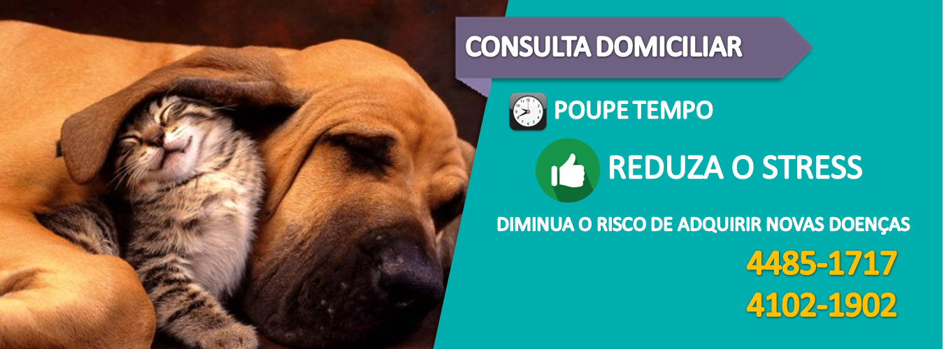 Slide - Veterinária Domiciliar de Cães e Gatos